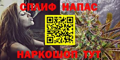 сатива Азнакаево