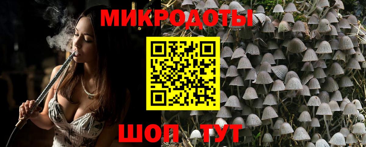 Галлюциногенные грибы мицелий Алатырь