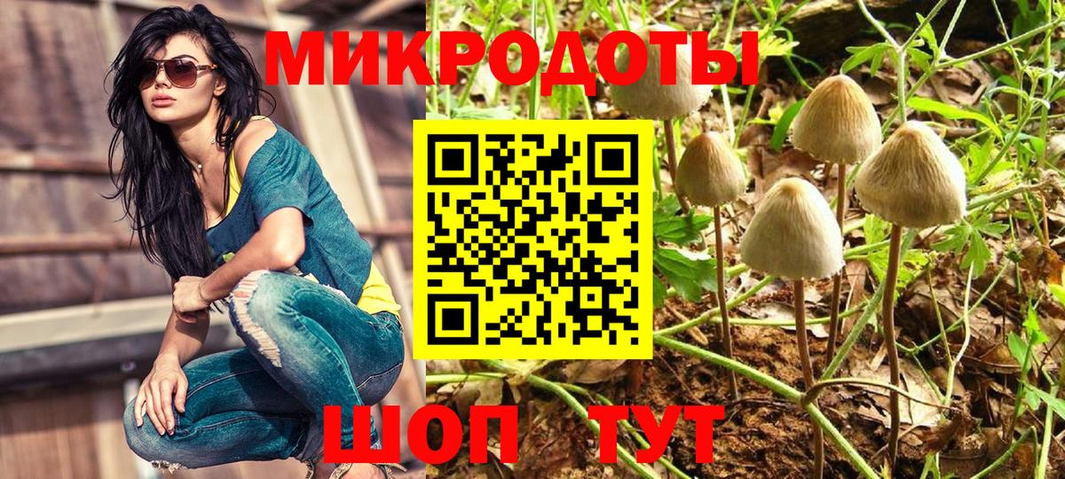 купить наркоту  Псилоцибиновые грибы мухоморы  Вход с VPN  Алатырь 